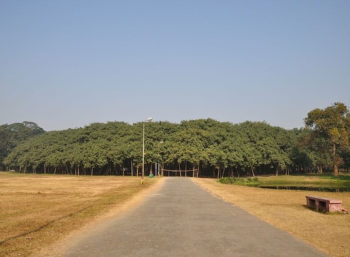 Acharya Jagadish Chandra Bose Indian Botanic Garden