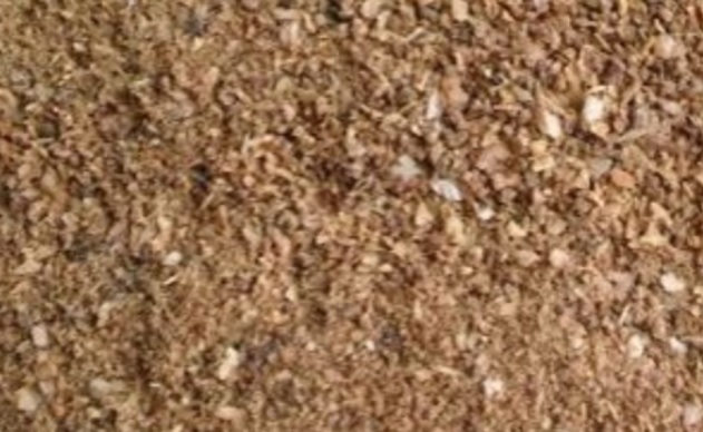 Bone Meal: Slow-release fertilizer best for Succulents and Cactus