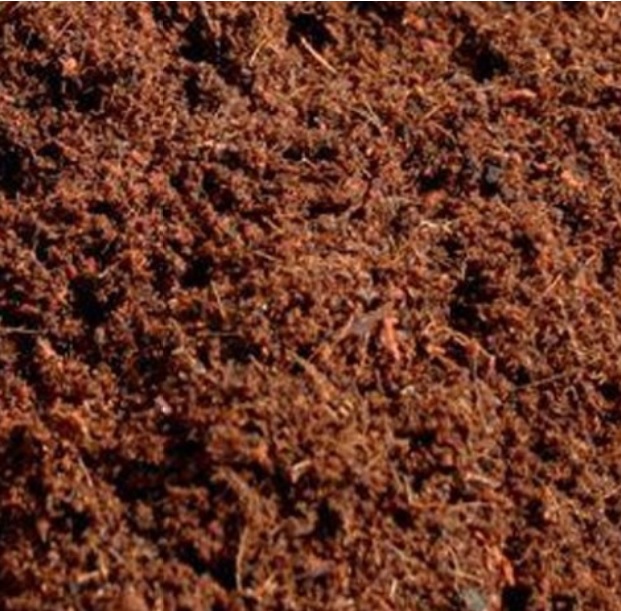 Coco Peat: Porous and lightweight soil mix for any gardening need