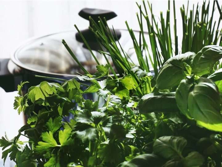 Indian Herbs for Kitchen garden