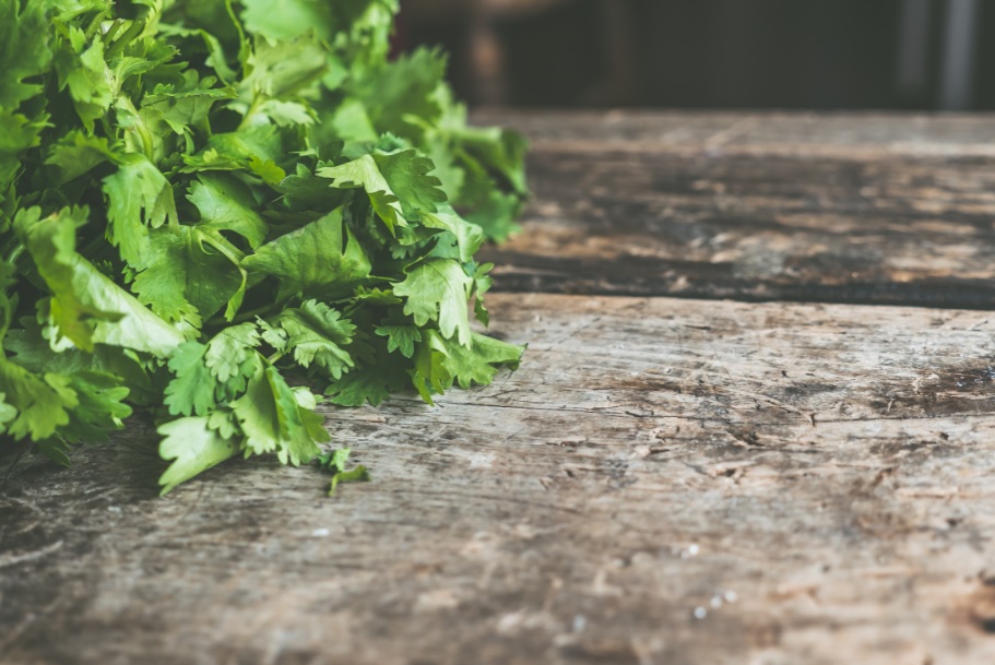 Coriander: Essential for every kitchen with lots of health benefits
