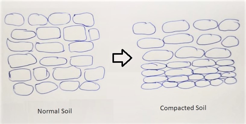 What is soil compaction and how to avoid it