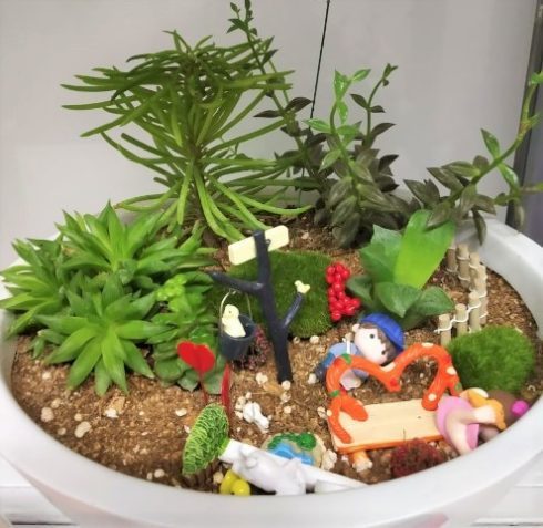 Miniature Garden - Creative Gardening