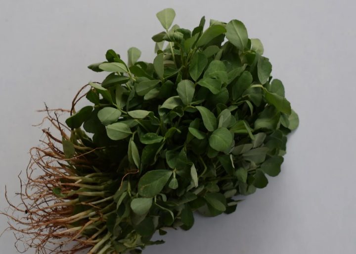 Methi: Low care and can be used as herb, vegetable or spices