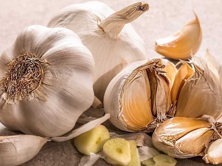 Garlic, Growing Garlic at Home