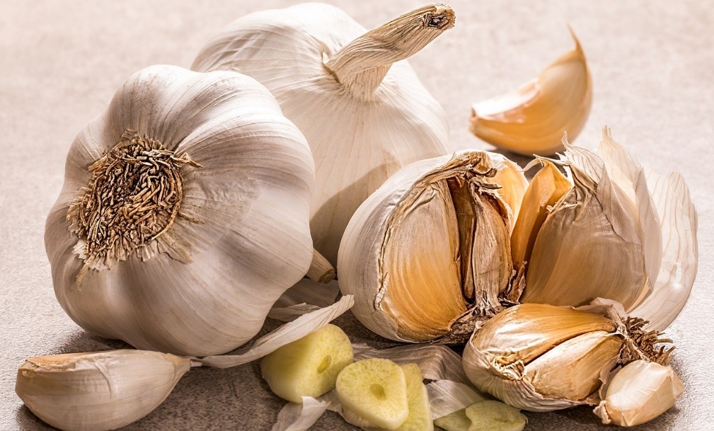 How to grow and care for Garlic at home:Proven medicinal properties