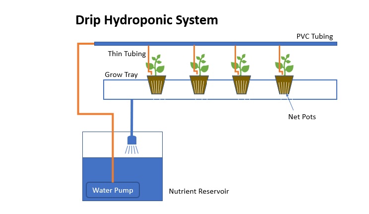Drip Hydroponic System – The most popular hydroponic system