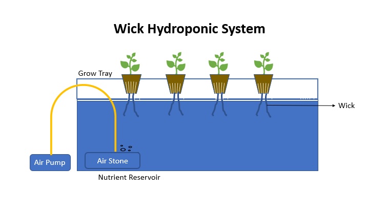 Wick Hydroponic System