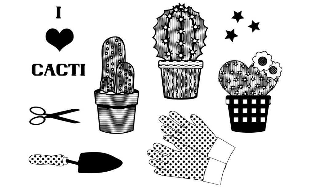 Cactus care