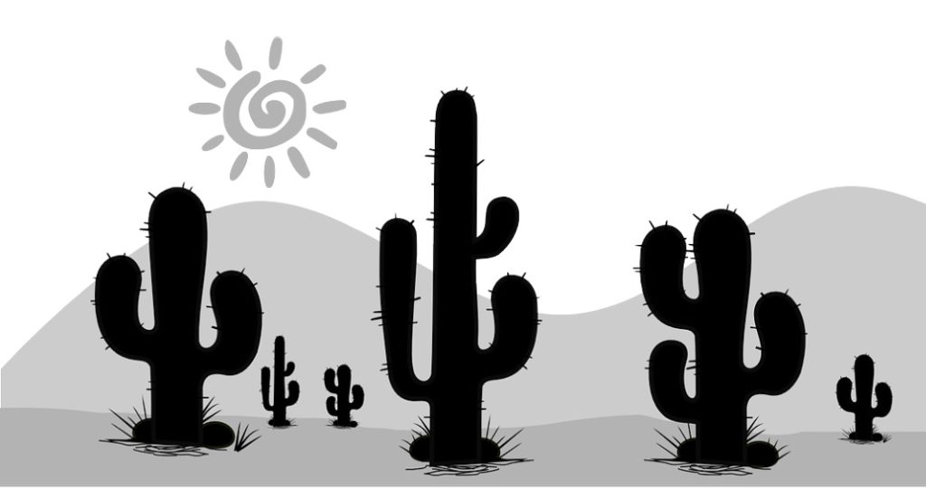 Cactus care in winters