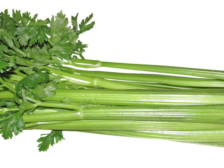 celery, Celery in Hindi