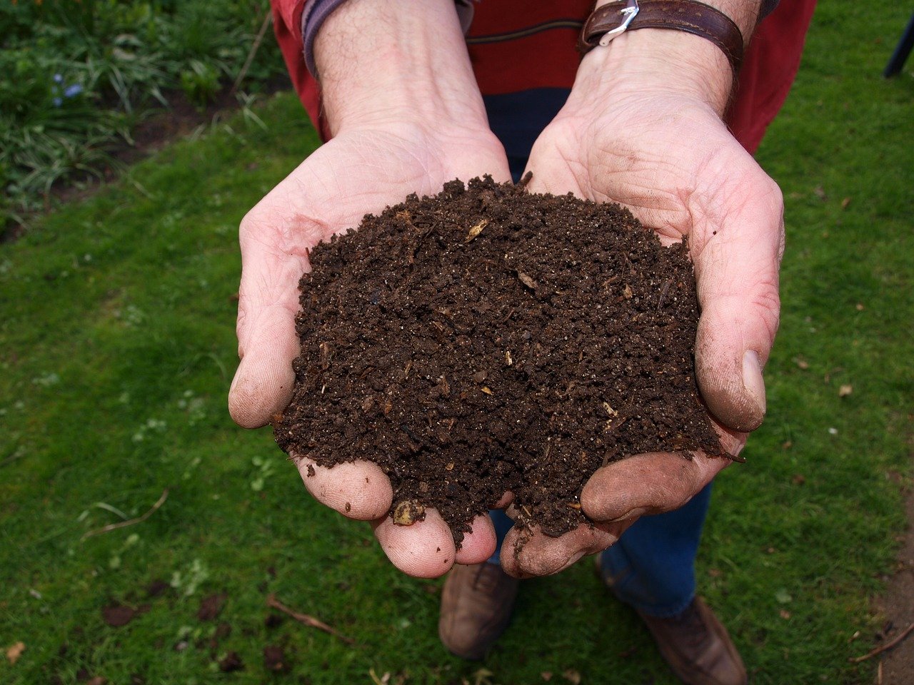 Importance of Compost in Gardening