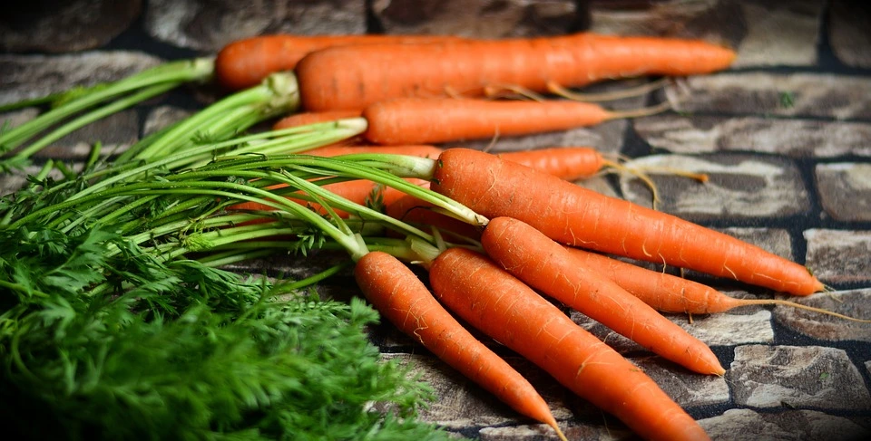 vegetables for terrace garden