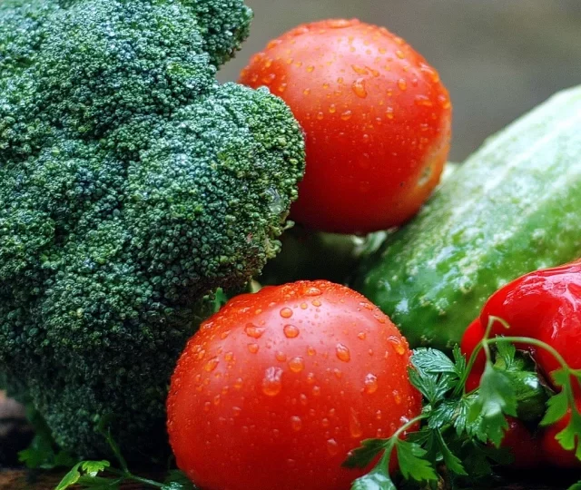 Vegetable Terrace Gardening