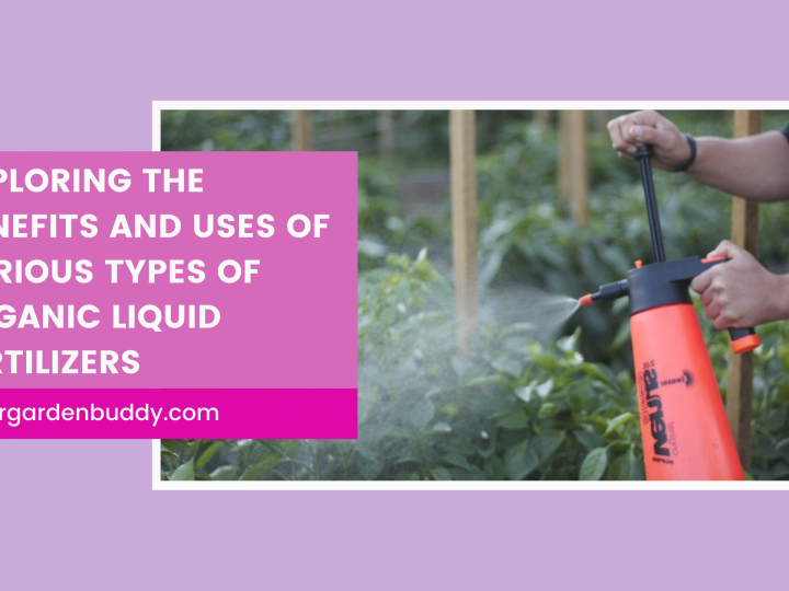 Organic Liquid Fertilizers