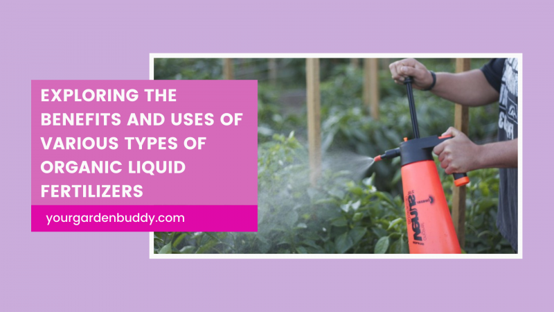 Organic Liquid Fertilizers