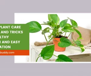 Brown Minimalist Beauty Blog Banner (2)