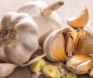 Garlic, Growing Garlic at Home