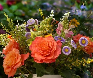 365 Days Flowering Plants